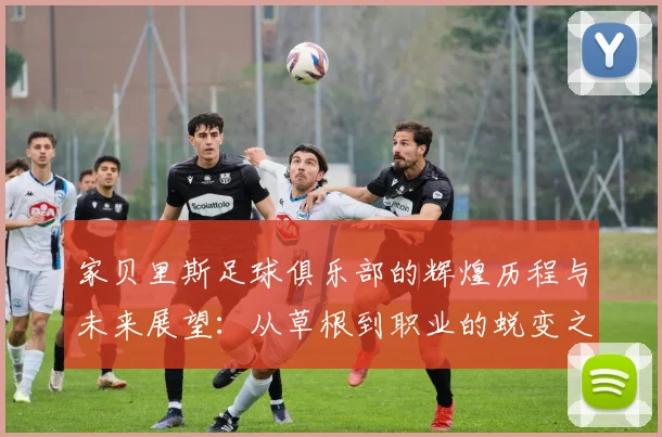 家贝里斯足球俱乐部的辉煌历程与未来展望：从草根到职业的蜕变之路